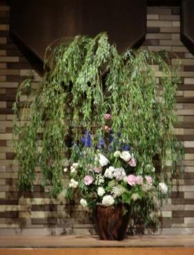 くらしきコンサートさんの壺花|「すみれ花店」　（岡山県倉敷市の花屋）のブログ